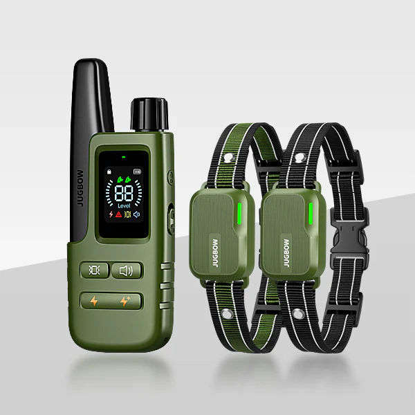 Interactive Puzzle Toy