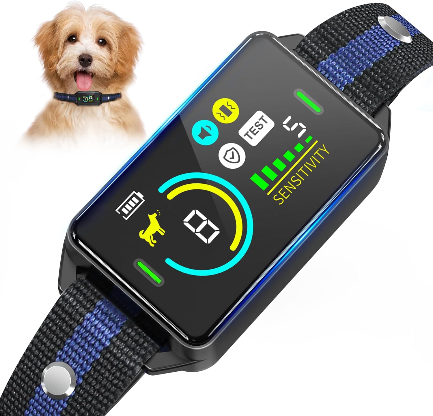 Dog Training Collar